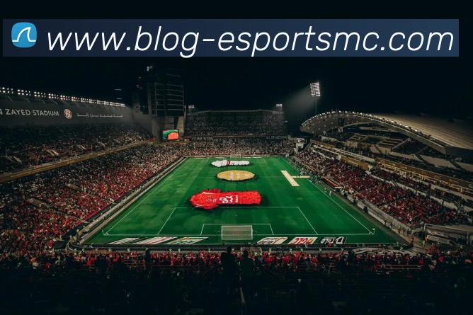 易倍体育APP 高清赛事图